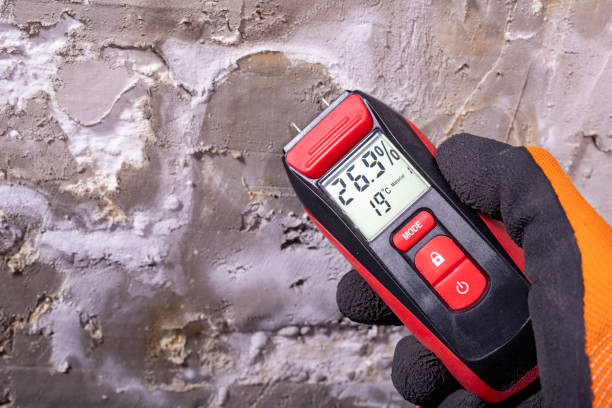Best Water Damage Restoration  in Campbellsport, WI