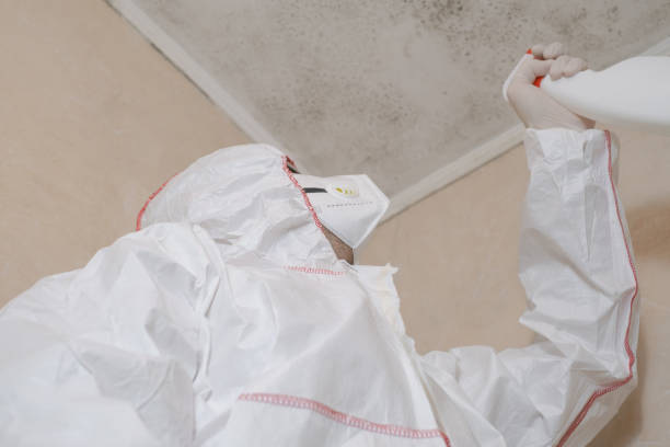 Best Local Mold Removal Service  in Campbellsport, WI