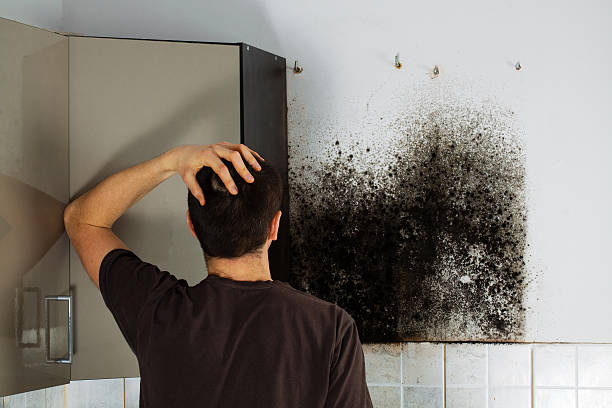 Best Residential Mold Removal  in Campbellsport, WI